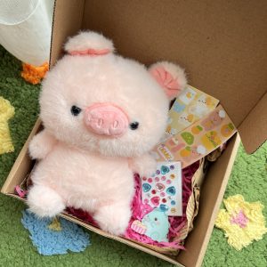 Gift set heo hồng